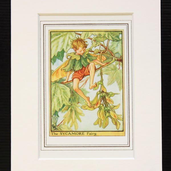 Sycamore Tree Fairy - Original 1930s Vintage Flower Fairy Print by Cicely Mary Barker, Mounted/ Matted Reading for Framing