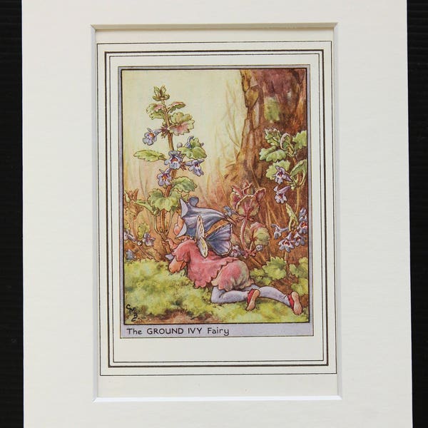 Ground Ivy Flower Fairy - Original 1930s Vintage Flower Fairy Print by Cicely Mary Barker, Mounted/ Matted Reading for Framing