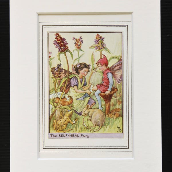 Selfheal Flower Fairy - Original 1930s Vintage Flower Fairy Print by Cicely Mary Barker, Mounted/ Matted Reading for Framing