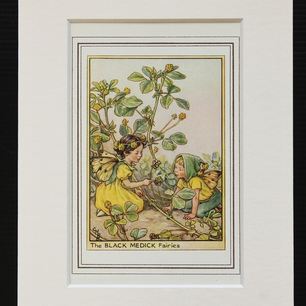 Black Medick Flower Fairy - Original 1930s Vintage Flower Fairy Print by Cicely Mary Barker, Mounted/ Matted Reading for Framing