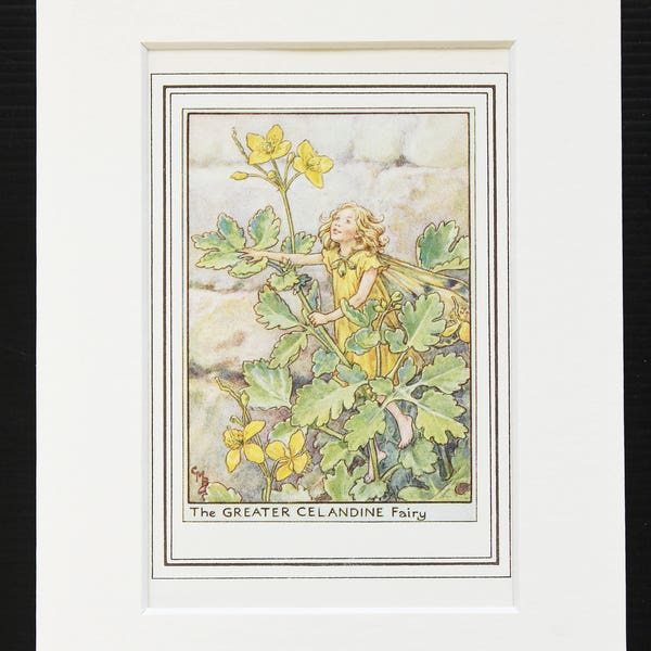 Greater Celandine Flower Fairy - Original 1930s Vintage Flower Fairy Print by Cicely Mary Barker, Mounted/ Matted Reading for Framing