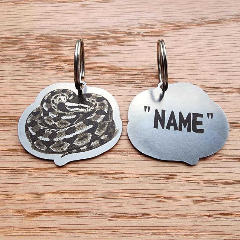 Op de afbeelding: Twee zilveren huisdierlabels. E&eacute;n label heeft een gedetailleerde gravure van een opgerolde slang. Het andere label heeft het woord "NAME" in vette, zwarte letters. Beide labels hebben een zilveren ring voor bevestiging.