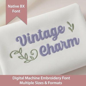 Retro Embroidery Font: 70s Vintage Charm, Native  BX Stitch Files (Digital Download) Native BX