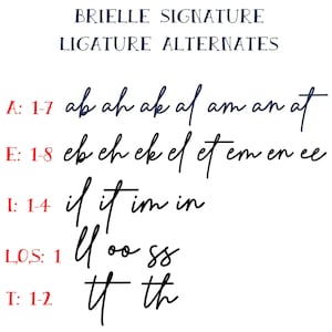 Brielle Signature Embroidery Font: Native BX, Stitch Files (digital ...