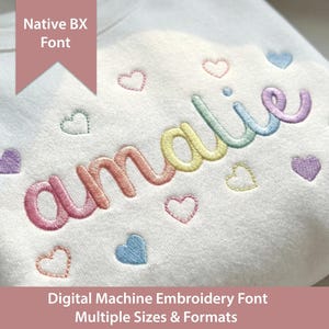 Könnte beinhalten: Ein weißes Sweatshirt mit dem gestickten Namen amalie in einer mehrfarbigen, verlaufenden Schreibschrift. Das Design ist von kleinen, in Pastellfarben gestickten Herzen umgeben. Der Text auf dem Bild lautet Native BX Font und Digital Machine Embroidery Font Multiple Sizes & Formats.