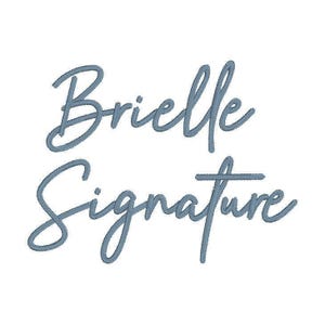 Brielle Signature Embroidery Font: Native BX, Stitch Files (digital ...
