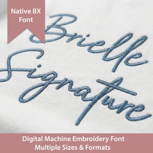 Kenmerkend borduurlettertype Brielle: Native BX, steekbestanden (digitale download)