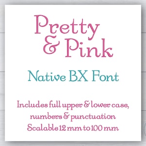 Pretty and Pink Embroidery Font: Native BX, Satin Stitch (Digital Download)