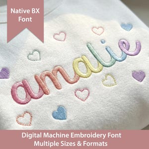 Amaliescript-borduurlettertype: native BX + steekbestanden, satijnsteek (digitale download)