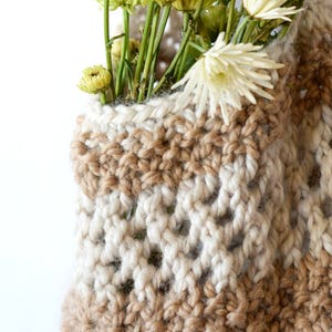 May include: A crocheted vase with a brown and white striped pattern. The vase is filled with dried flowers.