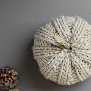 May include: A knitted pumpkin with a twig stem, in a light beige color, on a gray background.