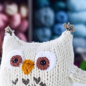 Hoot The Owl Knitting Pattern, Easy Knit Owl, Beginner Knit Owl, Fall Knitting Pattern, Chunky Owl Knitting Pattern