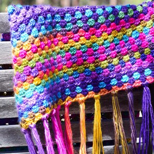 May include: A colorful crocheted scarf with a fringe border. The scarf is made with a variety of bright colors, including purple, pink, blue, green, and yellow.