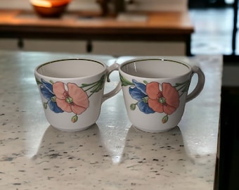 ヴィンテージ ビレロイ ボッホ ドイツ アマポラ オレンジ ブルー