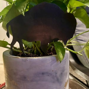 May include: A potted plant with green leaves in a light purple planter with a metal buffalo silhouette decoration.