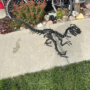 May include: Black metal dinosaur skeleton sculpture. The sculpture is a stylized representation of a Tyrannosaurus Rex, with detailed rib cage, spine, and skull. The sculpture is placed on a concrete surface near a patch of green grass.