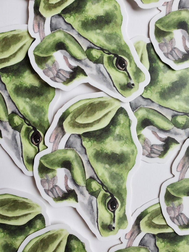 Green Frog Vinyl Sticker | Frog Sticker, Frog Vinyl Sticker, Yeti ...