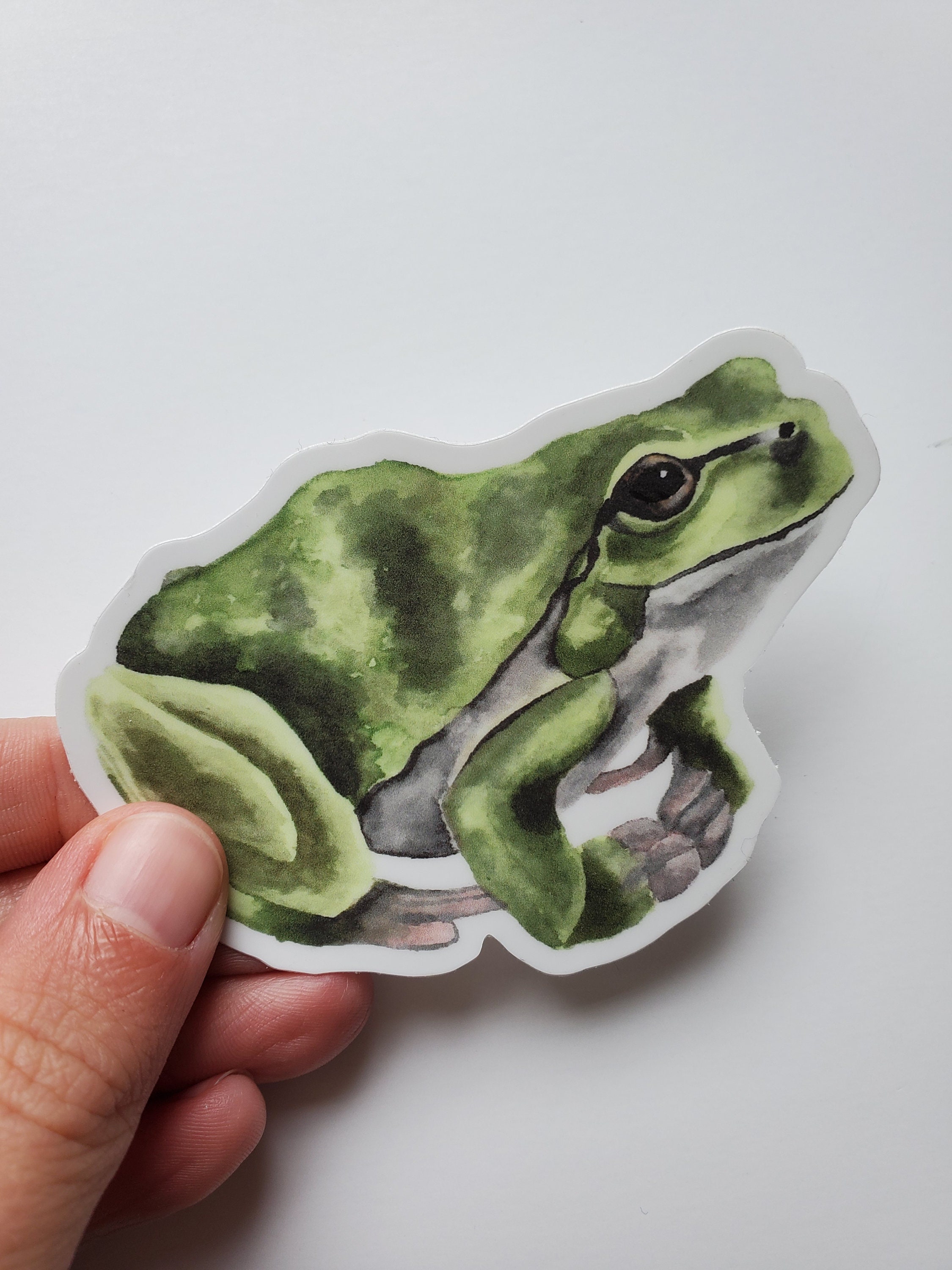 Green Frog Vinyl Sticker | Frog Sticker, Frog Vinyl Sticker, Yeti ...