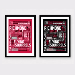 Richmond Flying Squirrels (MILB) Team Collage Print