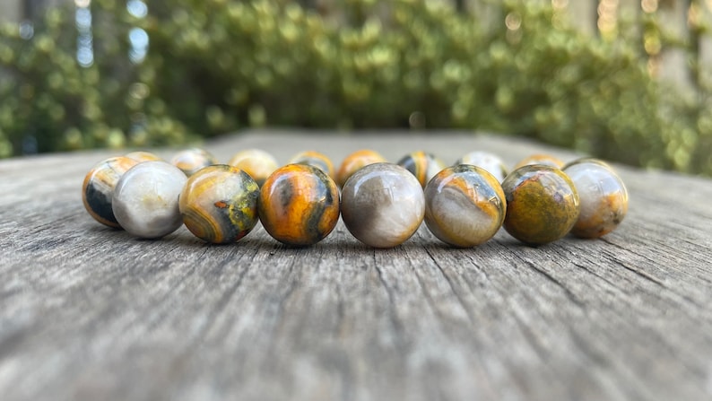 Chunky Bumble Bee Jasper Bracelet Unique 12mm Naranja Amarillo Negro y Blanco Bumblebee Jasper Beaded Gemstone Bracelet Brazalete de regalo imagen 1