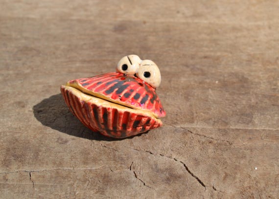 Grumpy Ceramic Shell Giovanni