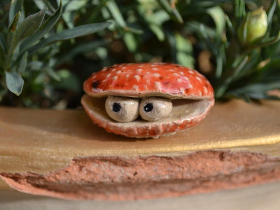 ceramic shell Ebba