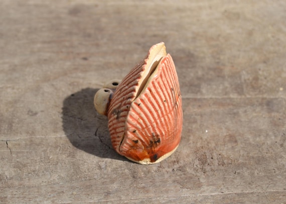 Ceramic shell Simone