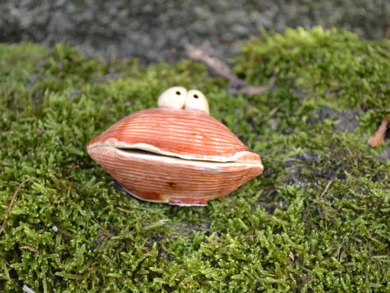 Ceramic Shell Youssef
