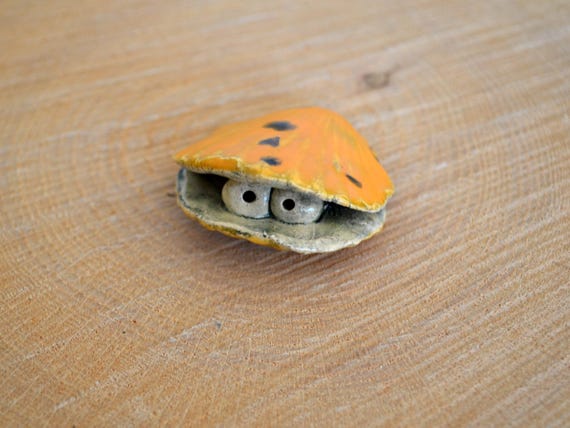 ceramic shell Randi