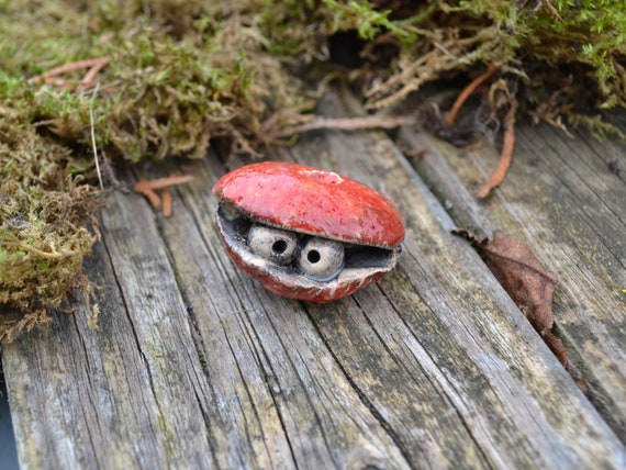 Ceramic shell Beatrice