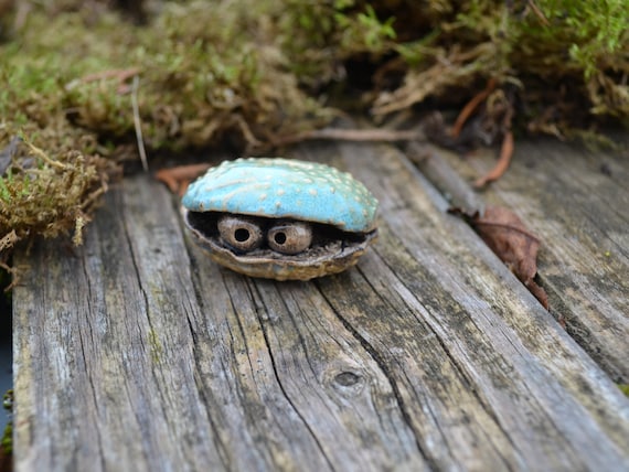 Ceramic shell Lorenzo