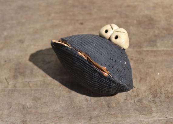 Grumpy Ceramic Shell Matteo