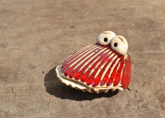 Ceramic shell Giulio