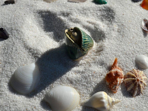 Ceramic shell Isabelle