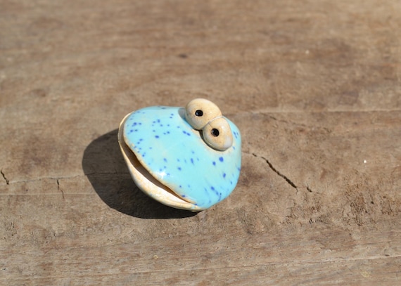 Ceramic shell Nathan