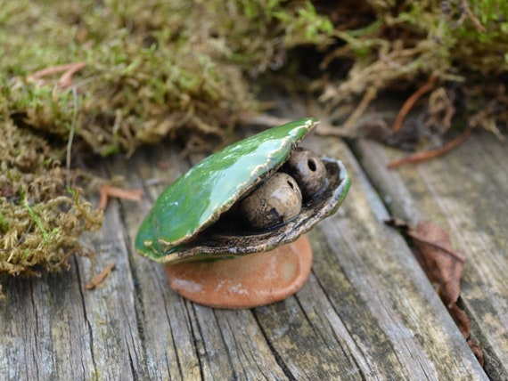 Ceramic shell Carlotta