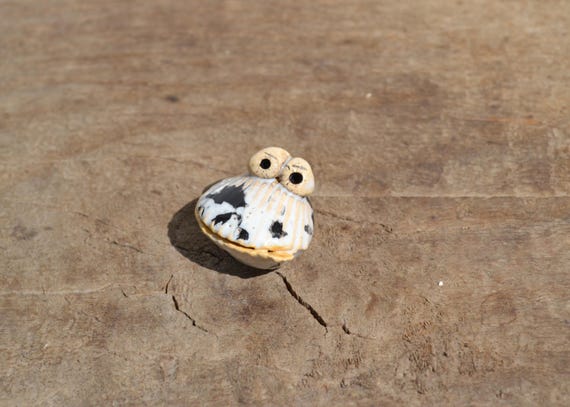 Grumpy Ceramic Shell Samuele
