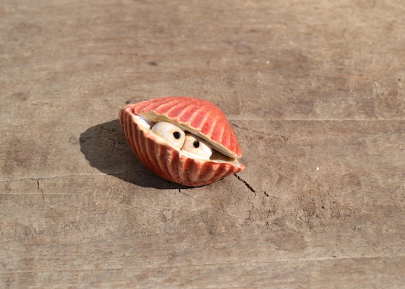 Ceramic shell Giorgio