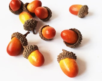 May include: A collection of ten brown and orange acorns on a white background.
