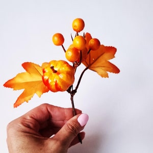 May include: A hand holds a small orange and red gourd with a stem and leaves. The leaves are orange and yellow and have a maple leaf shape. There are small orange berries on the stem.
