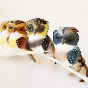 Könnte beinhalten: Vier kleine Eulenfiguren mit unterschiedlich gefärbten Federn und schwarzen Augen. Die Eulen sitzen auf einem weißen Ast.