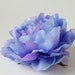 see more listings in the Peonies/ Roses section