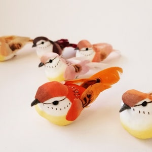 Könnte beinhalten: Eine Sammlung dekorativer Vogelfiguren in verschiedenen Farben. Die Vögel haben gelbe Bäuche, weiße Gesichter und braune oder orangefarbene Flügel und Kopfgefieder. Einige Vögel haben dekorative Schwanzfedern.