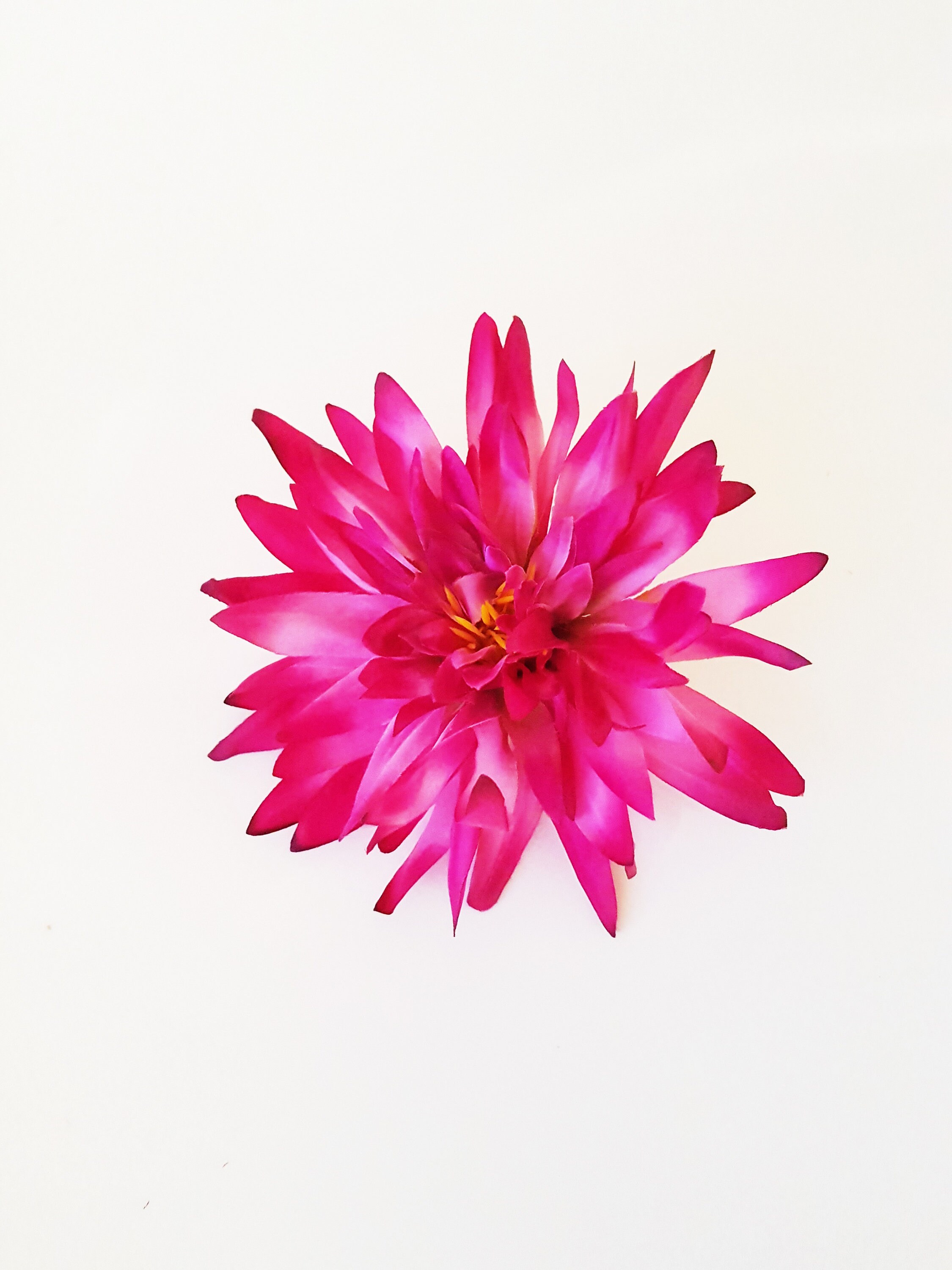 1 Silk Dark Pink Dahlia Flower 6.3 Artificial Fuchsia Etsy