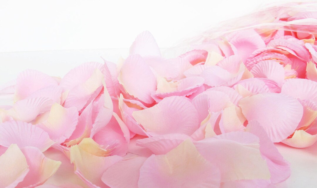 100 Pcs Pink Silk Rose Petals Wedding Flower Favor Decoration Etsy
