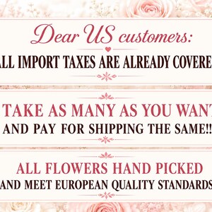 May include: Three rectangular white signs with rounded corners and dark pink text, set against a soft floral background. The text reads: Dear US customers: ALL IMPORT TAXES ARE ALREADY COVERED! TAKE AS MANY AS YOU WANT AND PAY FOR SHIPPING THE SAME! ALL FLOWERS HAND PICKED AND MEET EUROPEAN QUALITY STANDARDS!