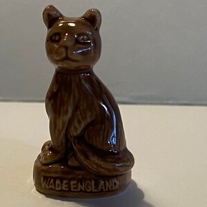 Brown Cat