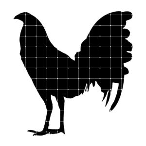 May include: Black silhouette of a rooster with a large comb and wattles. The rooster is standing with its tail feathers spread out.