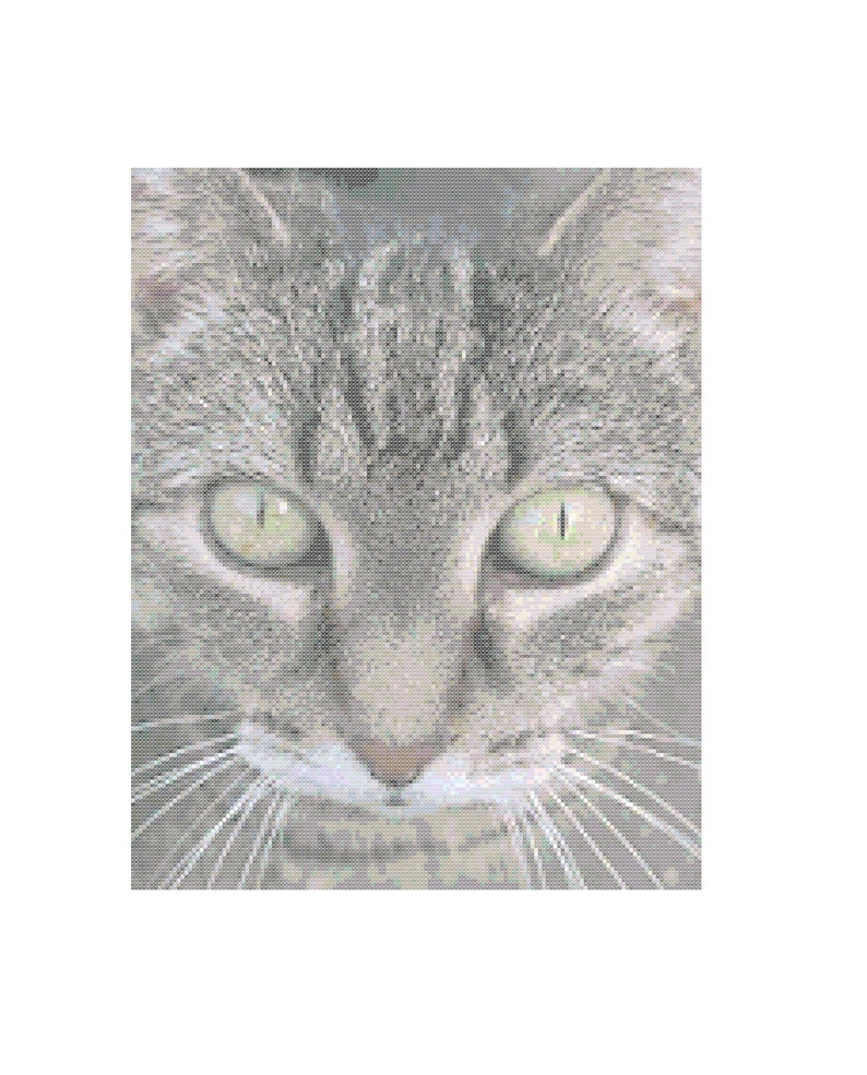 image 0 ... PDF cross stitch pattern cat or pussy with wide open eyes | Etsy