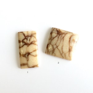 White Sponge Coral Cabochon / CAB028